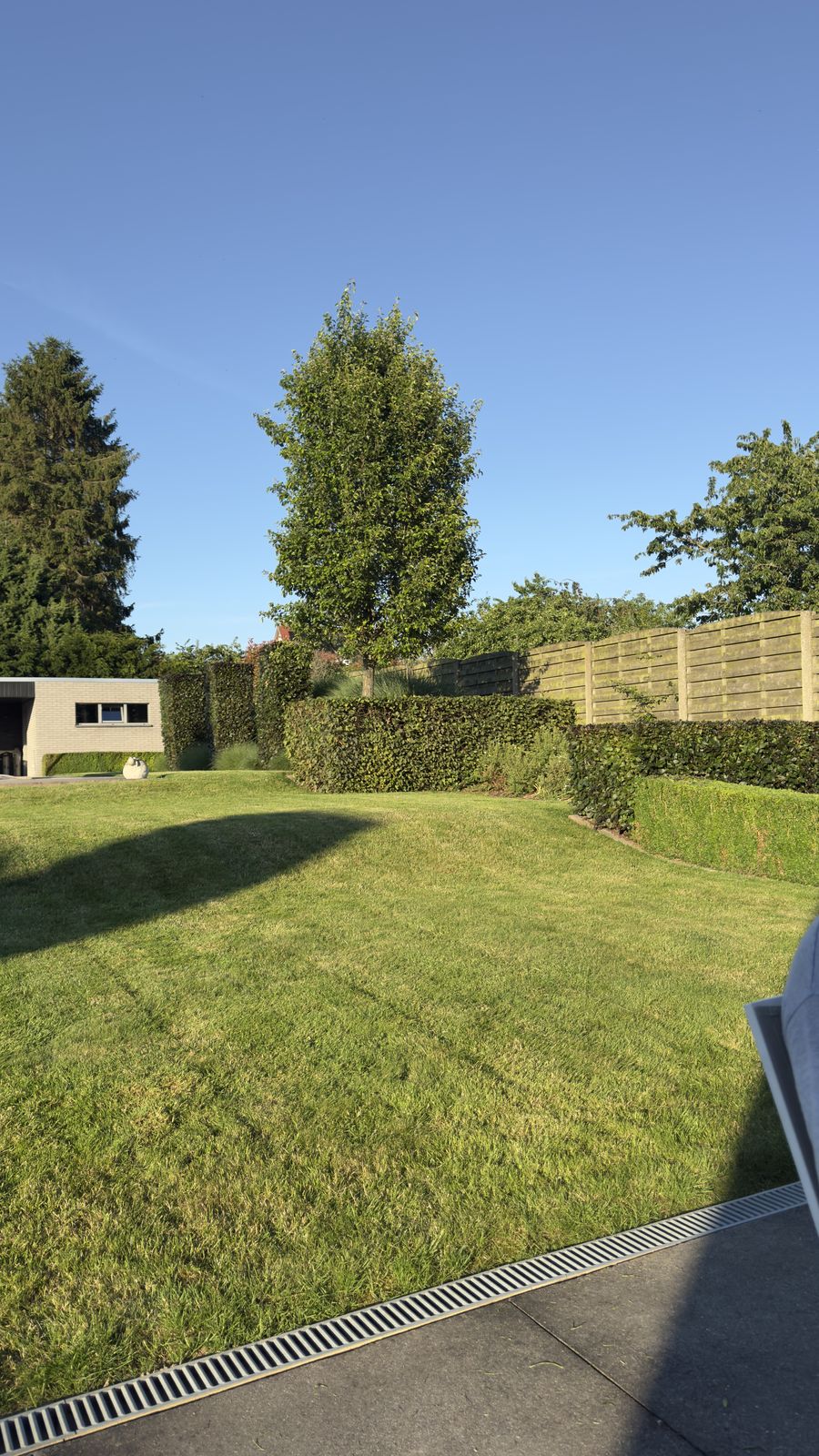 Vers gemaaid gazon met maaisporen